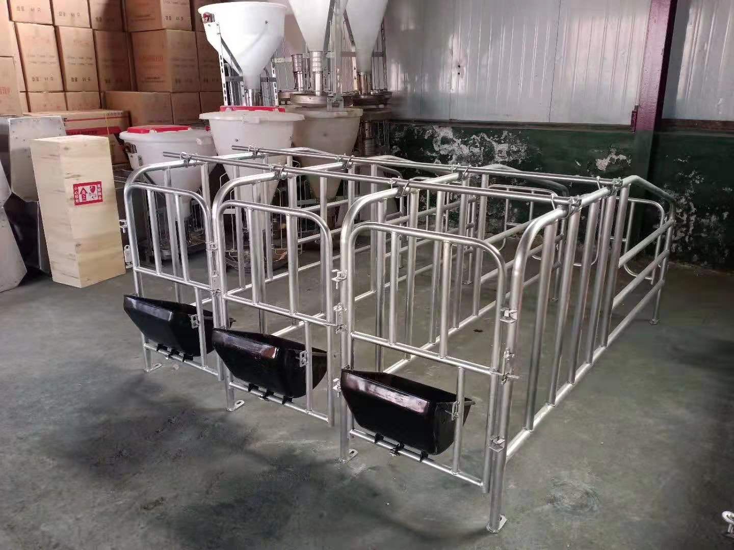 母猪定位栏猪用限位栏母猪围栏猪栏产床保育床养猪设备