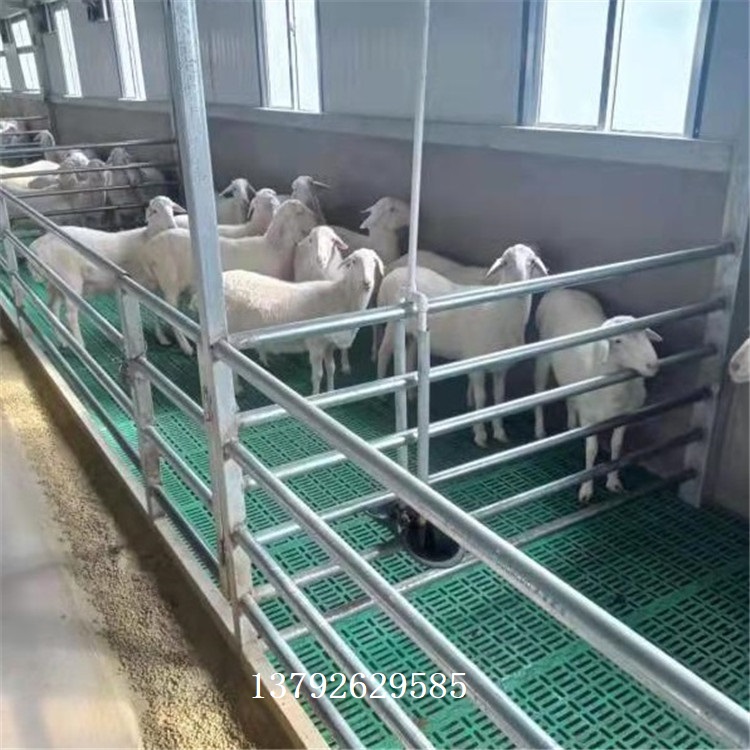 羊床制作  养羊专用塑料羊床 羊床用漏粪板图片