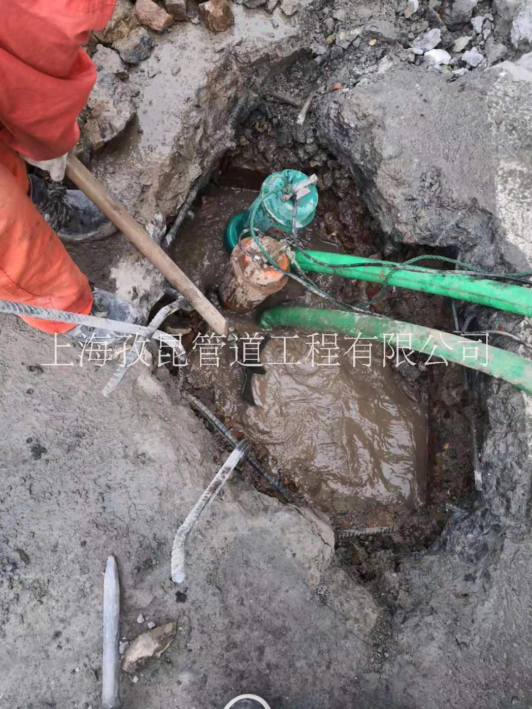 上海浦东水管漏水检测 工业园区进行漏水点排查检测图片