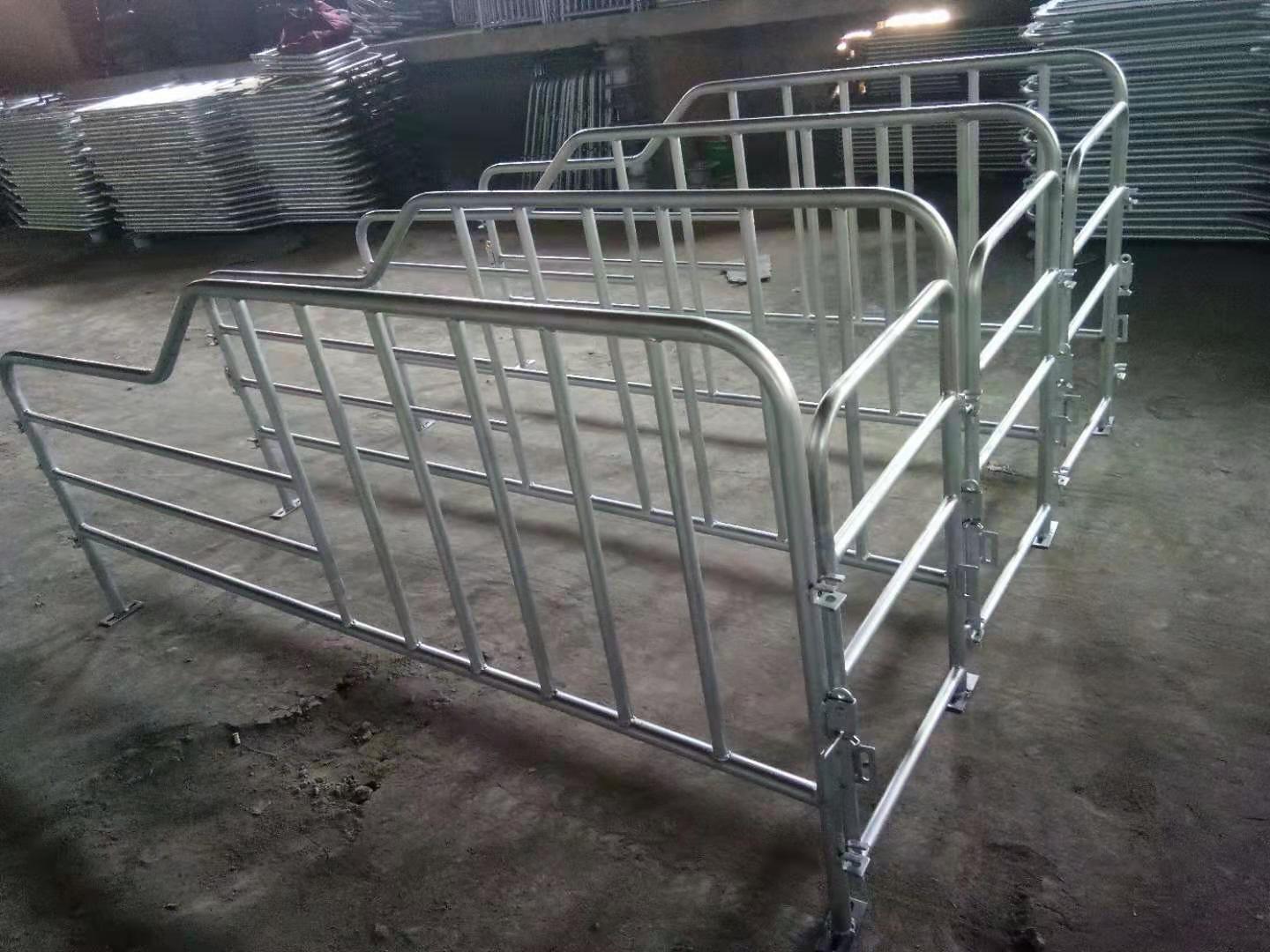 供应 母猪定位栏 养猪设备