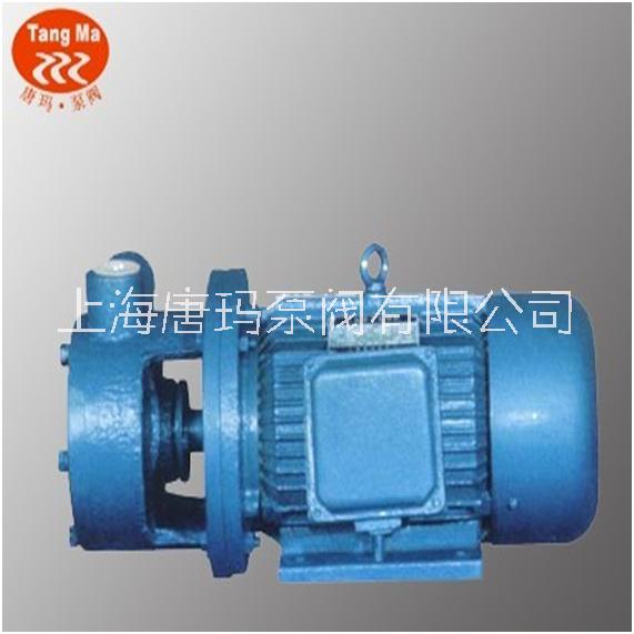 上海 1W型单级漩涡泵厂家销售、价格实惠、厂家定制【上海唐玛泵阀有限公司】  上海1W型单级漩涡泵