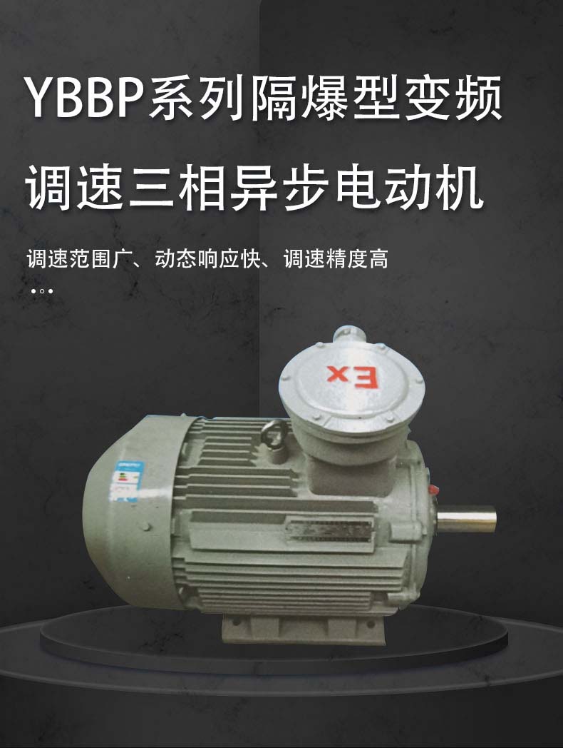 YBBP系列隔爆型变频调速三相异步电动机  YBBP电动机  YBBP系列三相异步电动机