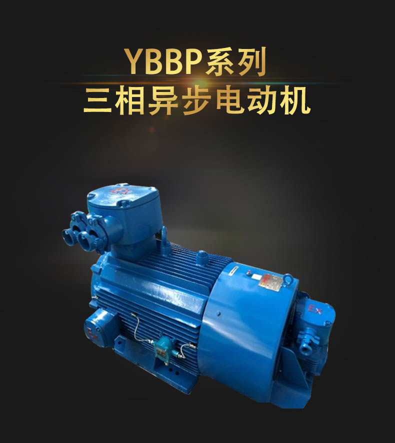 YBBP系列隔爆型变频调速低压大功率三相异步电动机 YBBP三相异步电动机