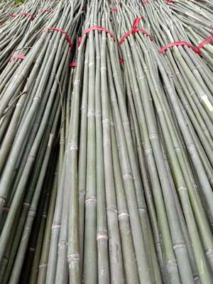 篱笆围栏竹竿厂家 蔬菜爬藤支撑种菜用竹子 细竹杆 长短粗细定制