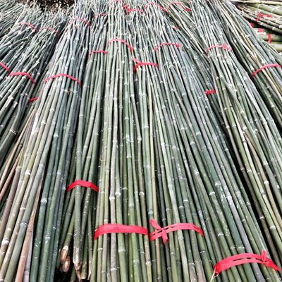 厂家批发彩旗杆子 2.3米刀豆爬藤支撑搭架竹竿图片
