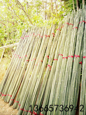 菜架竹厂家 2,4米 小山竹 编篱笆农业种菜用竹子图片