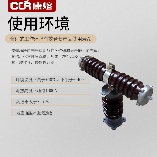 高压限流熔断器RXWO-10-35KV老型保险管有新型翻盖式