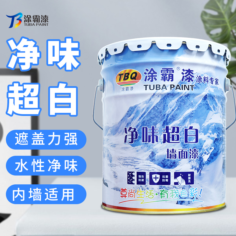 广东墙面乳胶漆多少钱一平方,乳胶漆厂家供应环保耐用