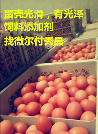 泰安市专治红壳鸡产白皮蛋用蛋鸡添加剂厂家专治红壳鸡产白皮蛋用蛋鸡添加剂壳红素
