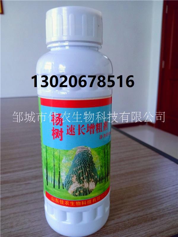广西省杨树速长增粗剂快速增产