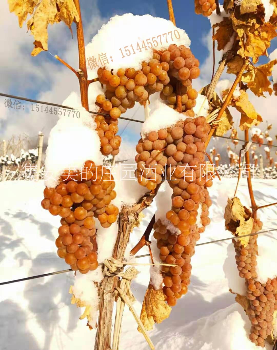 集安味道北冰红干红葡萄酒 集安味道冰葡萄酒 鸭江谷冰葡萄酒