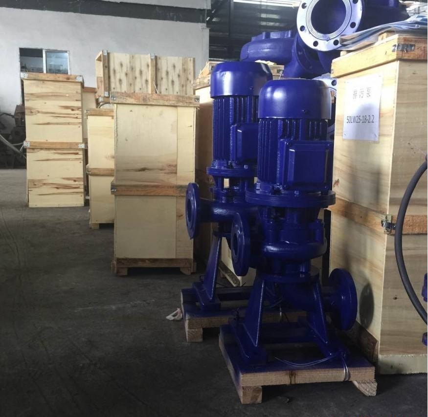 南京蓝途环保WL型不锈钢立式干式排污泵图片