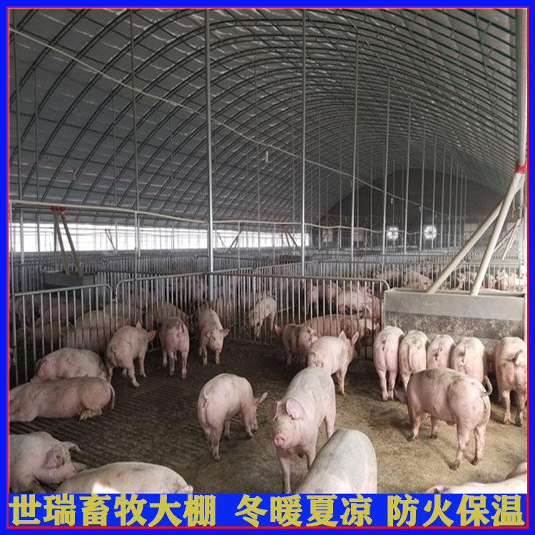 养猪棚施工价格 建设养猪大棚成本 宁津县世瑞畜牧设备