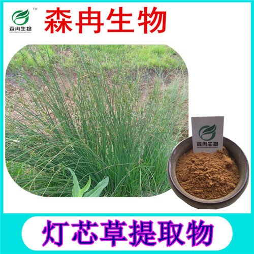 森冉生物 灯芯草提取物 龙须草提取物 植物提取原料粉图片