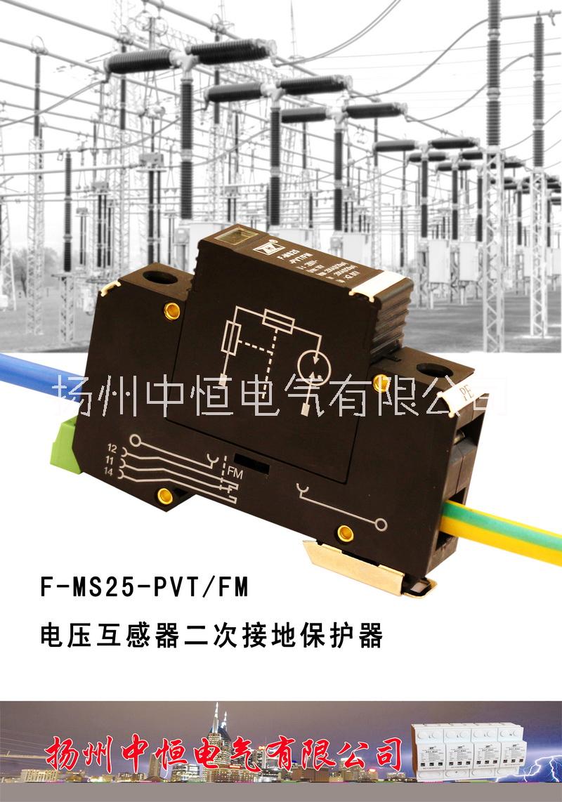 中性点避雷器F-MS25-PVT/FM