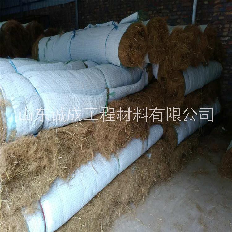 郴州市带草籽植草毯 环保草毯 植物纤维毯 边坡绿化工程