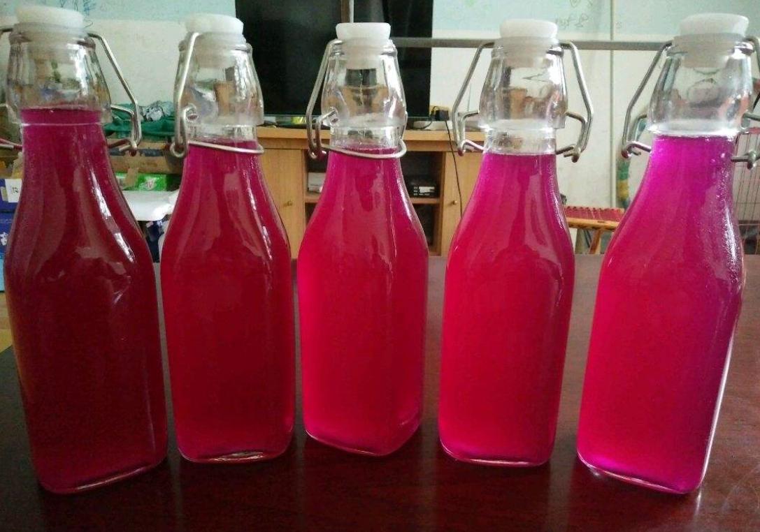 发酵型火龙果酒的制作方法
