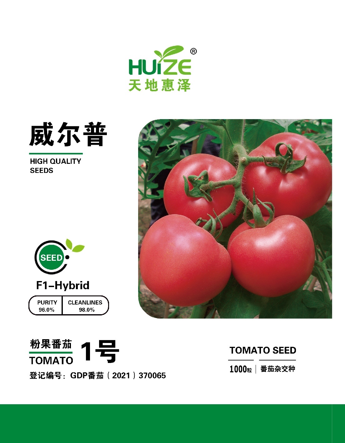 山东青岛威尔普1号番茄种子批发公司销售价格 威尔普1号种子