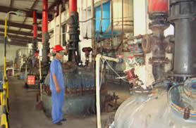 供应水处理剂 工业清洗剂络合剂HEDP二钠固体