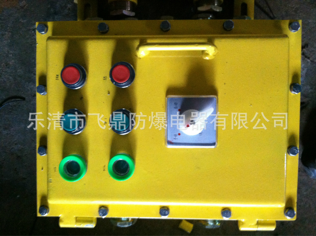 BXM（D）-T 钢板防爆配电箱 立脚式防爆配电箱 飞鼎防爆电器图片