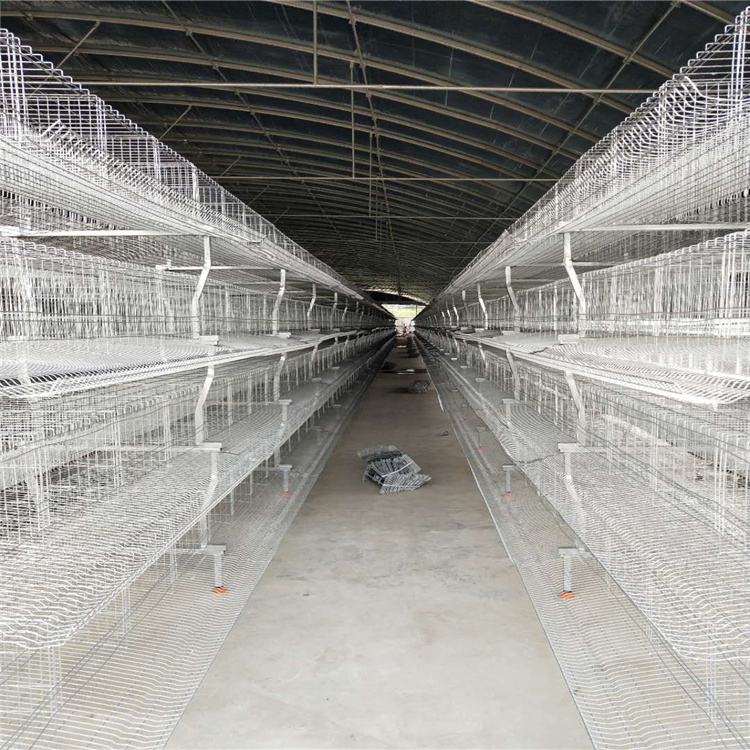 养2万只的鸡的H型鸡笼全自动鸡笼养2万只的鸡的H型鸡笼全自动鸡笼 热镀锌鸡笼