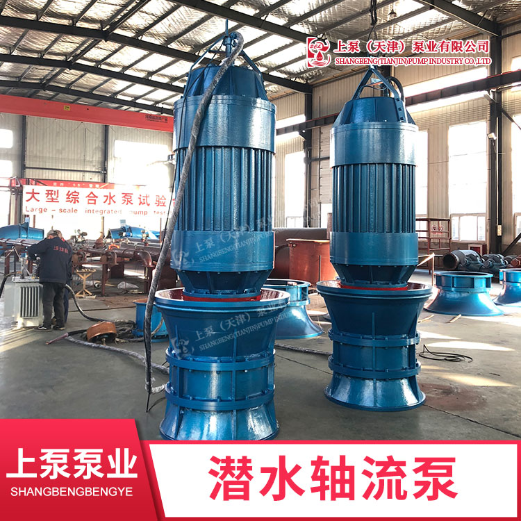 天津市350QZB-100厂家广东350QZB-100大流量潜水轴流泵生产厂家机电排灌
