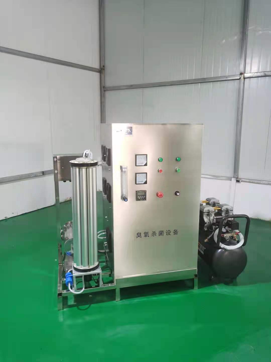 上海臭氧发生器供应厂家  自来水厂消毒除藻  空气源氧气源臭氧发生器