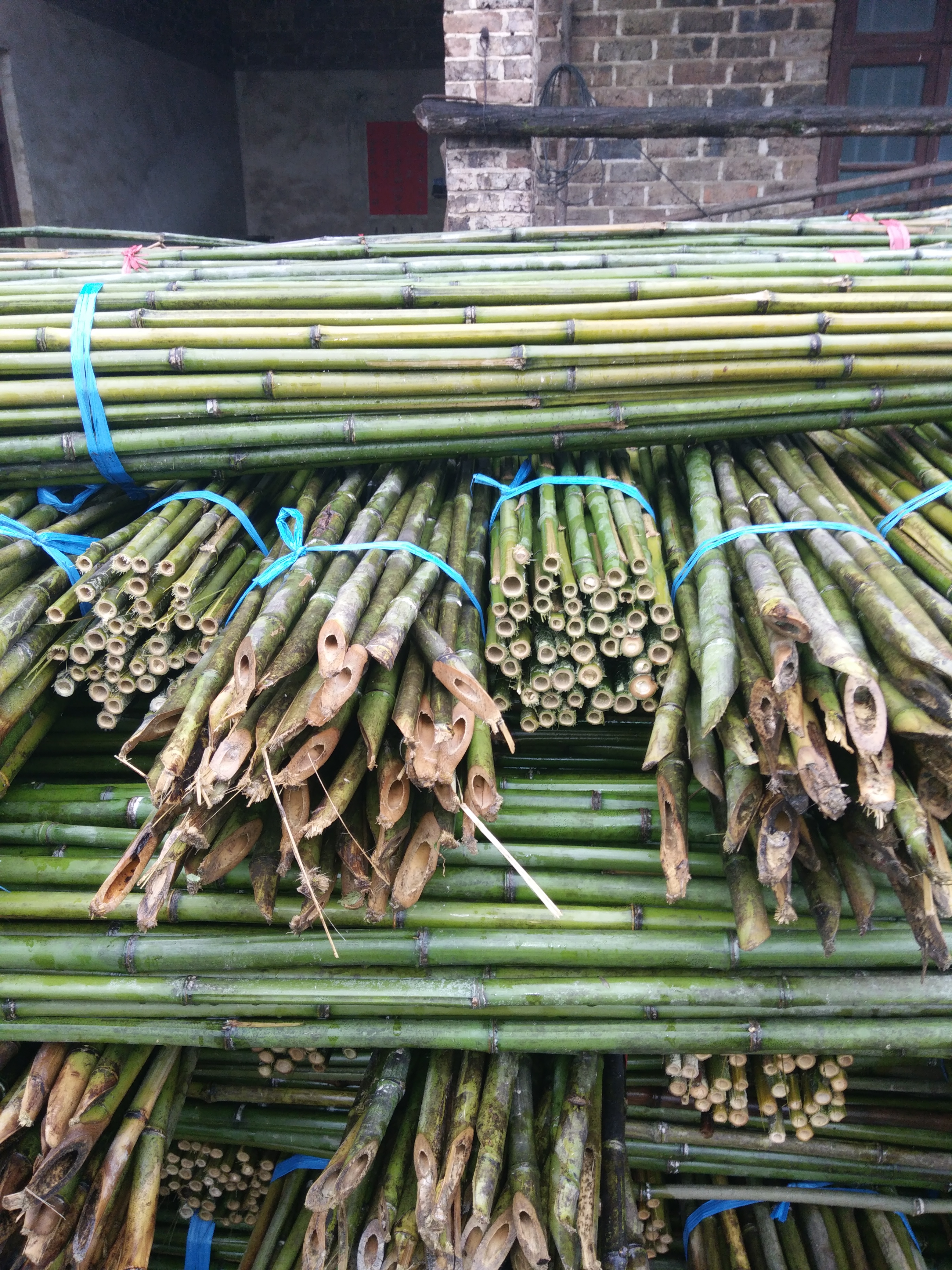 衡阳市豆角架竹子厂家豆角架竹子2米，2.5米3米