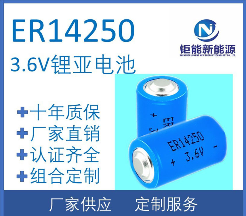 深圳市ER 14250 锂亚电池厂家