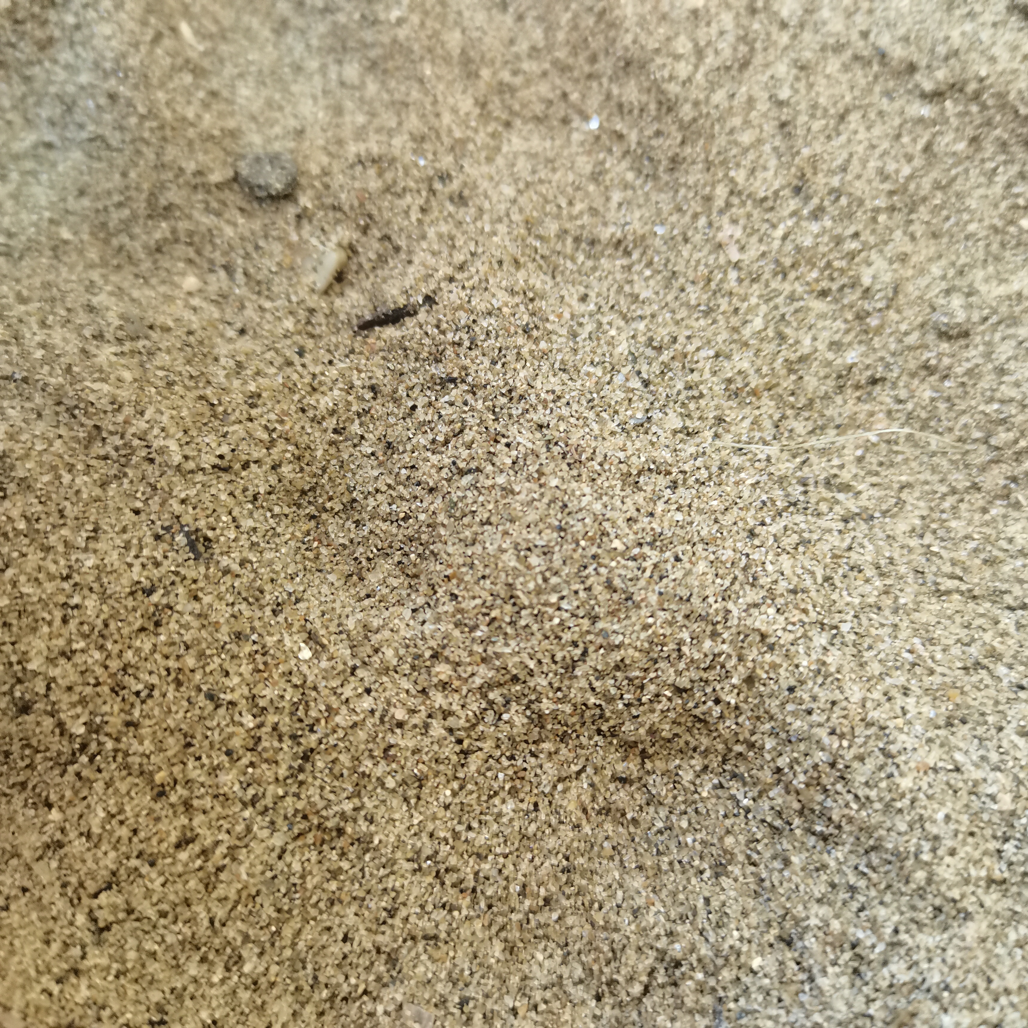 海洋矿产  海砂过滤材料处理用建筑材料