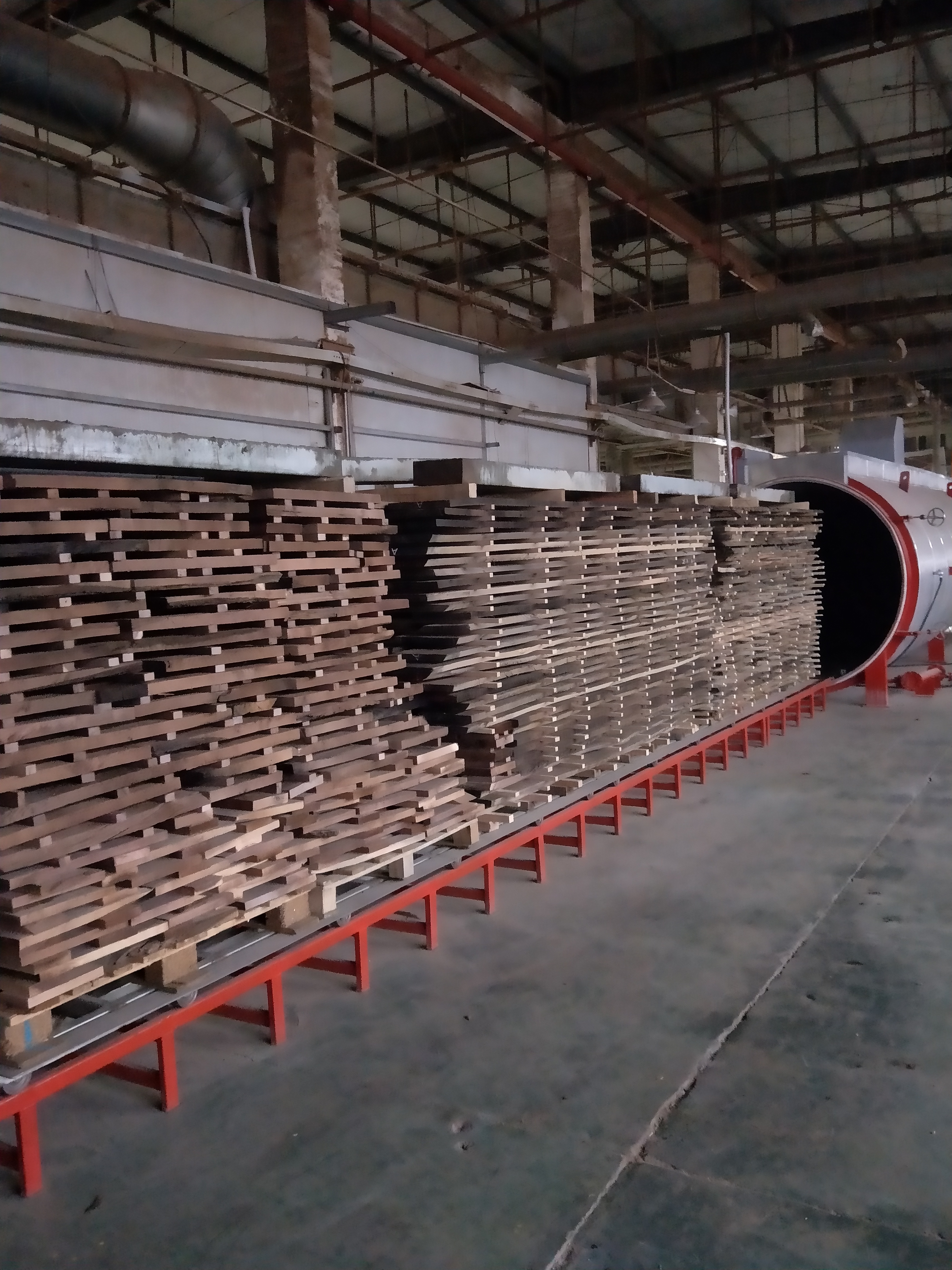 真空干燥碳化设备厂家 真空木材干燥碳化设备