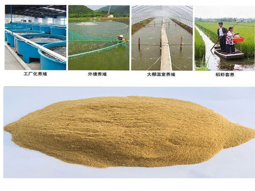 青岛啤酒酵母粉在鱼类养殖中的应用 鱼类养殖用啤酒酵母粉图片