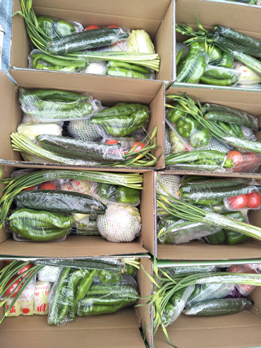 蔬果配送三门峡市蔬菜礼盒经销洛阳新区蔬菜年货集装箱定制水果蔬菜