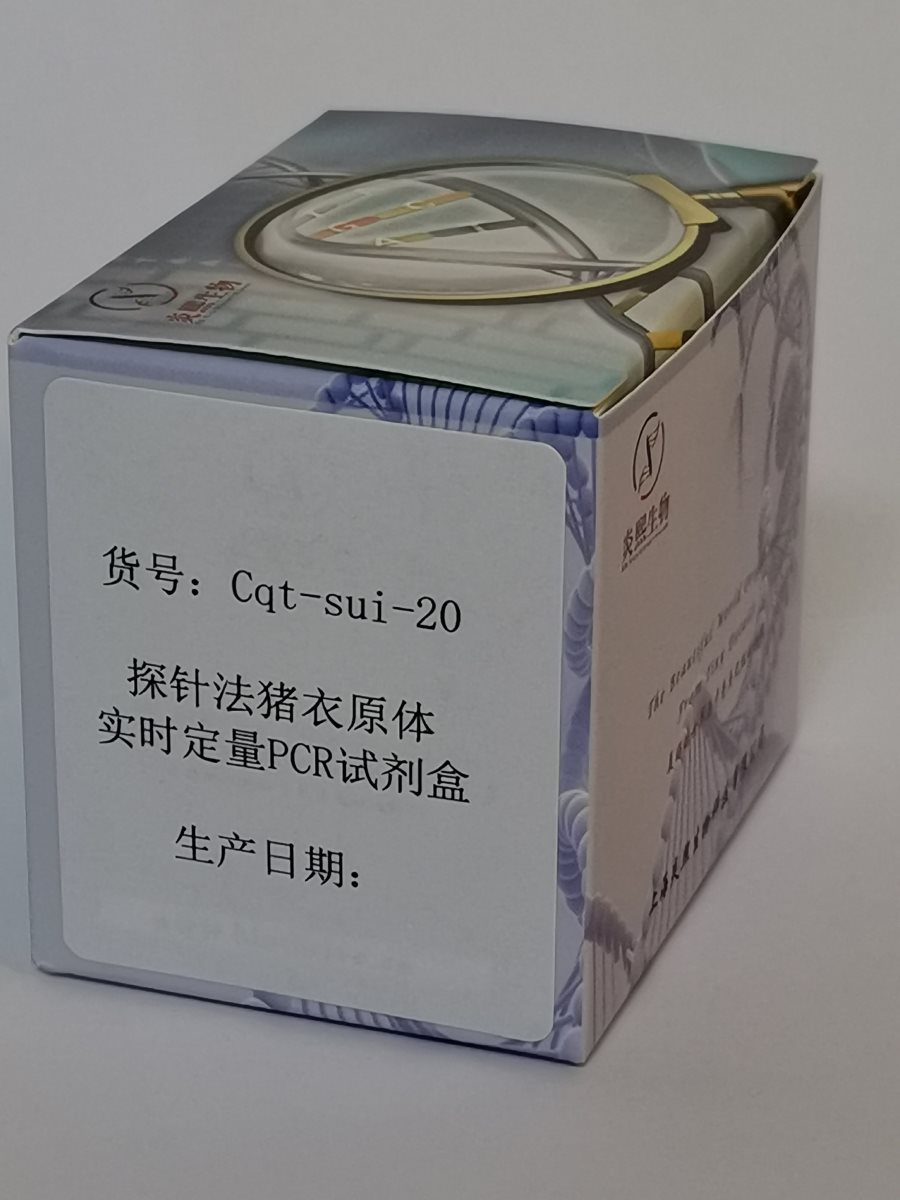 探针法猪衣原体实时定量PCR试剂