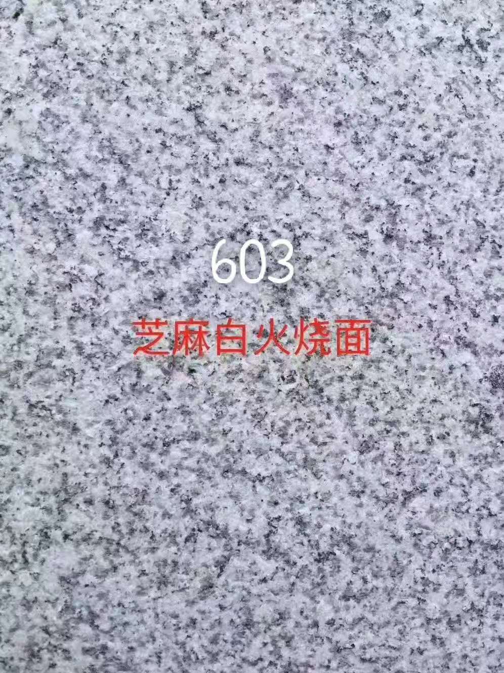 603芝麻白火烧面供应商