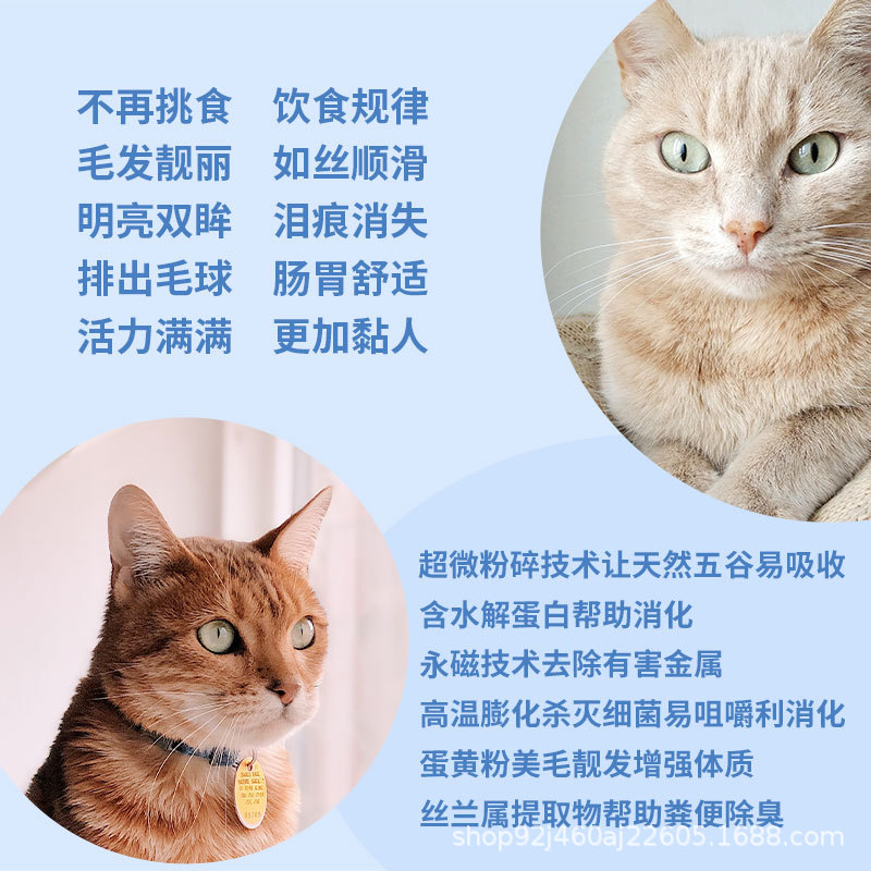 短毛猫猫粮 短毛猫猫粮哪种口味好 美国短毛猫喜欢吃哪种猫粮