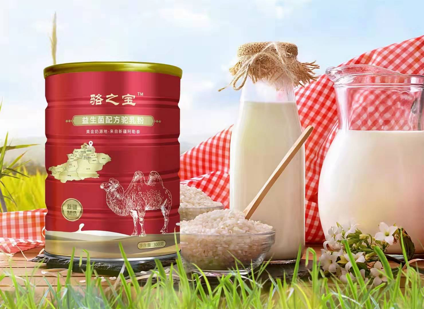 新疆驼奶粉厂家招商加盟