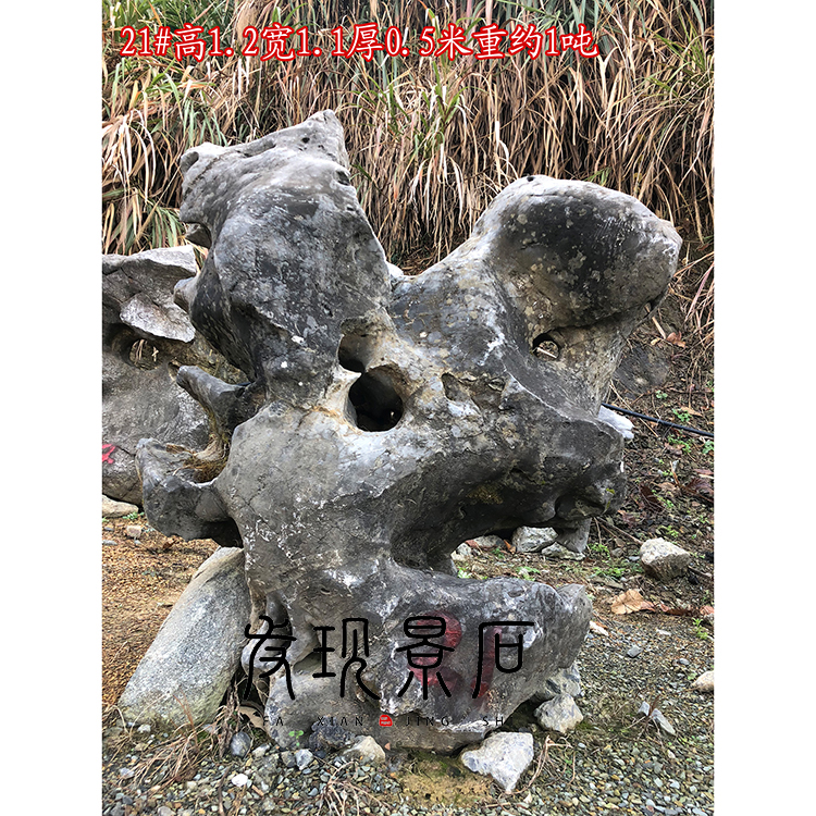 杭州发现太湖石窟窿石景观石假山石