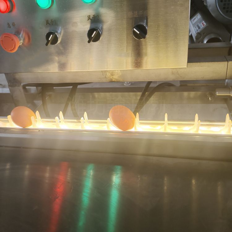 翰润渤HRB-600-Ⅰ型通道式喷淋洗蛋机 商用洗蛋机 蛋液提取洗蛋机