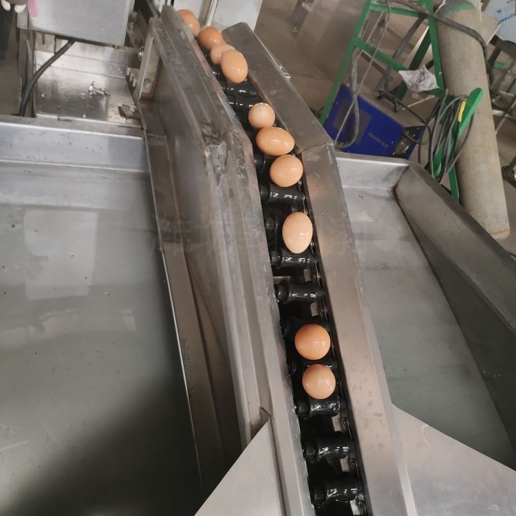 翰润渤HRB-600-Ⅱ型养殖场鸭蛋洗蛋机  蛋品清洗去泥设备图片
