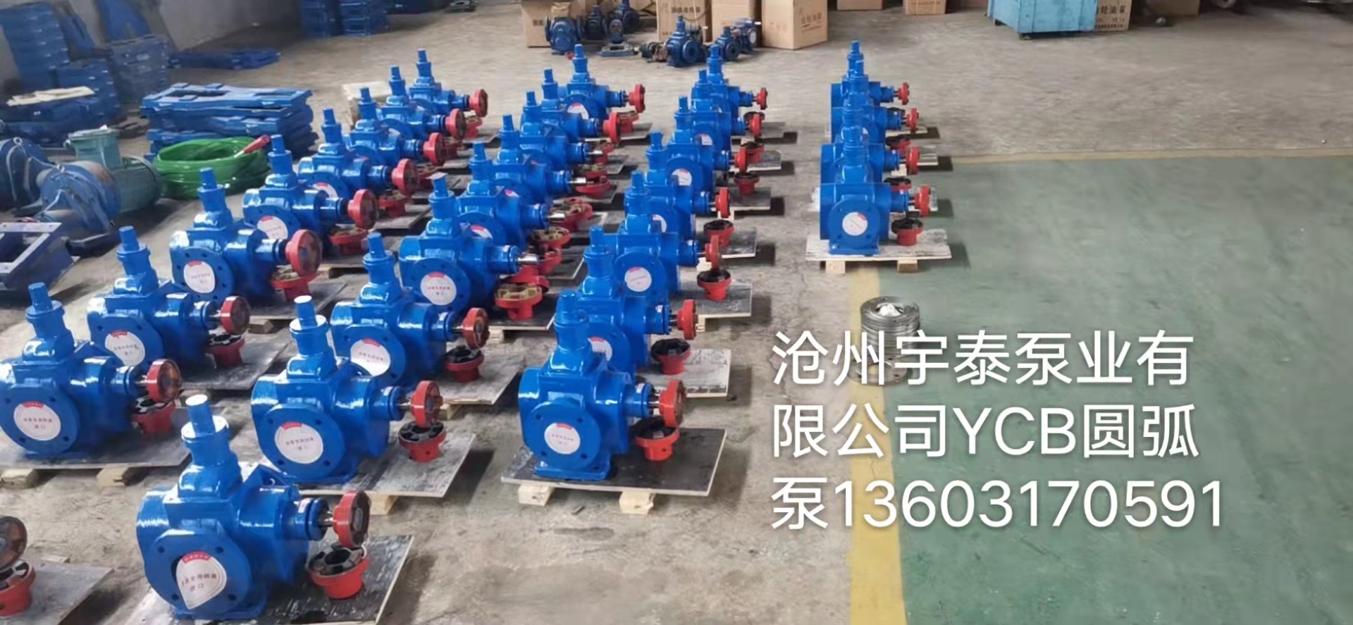 YCB 圆弧泵供应商  YCB 圆弧泵厂家