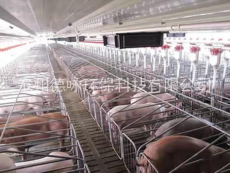猪舍母猪欧式产保一体双体产床热寝锌大架  欧式母猪产长