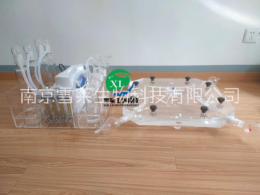四臂嗅觉仪XL4-300昆虫嗅觉仪南京雪莱生物科技有限公司厂家