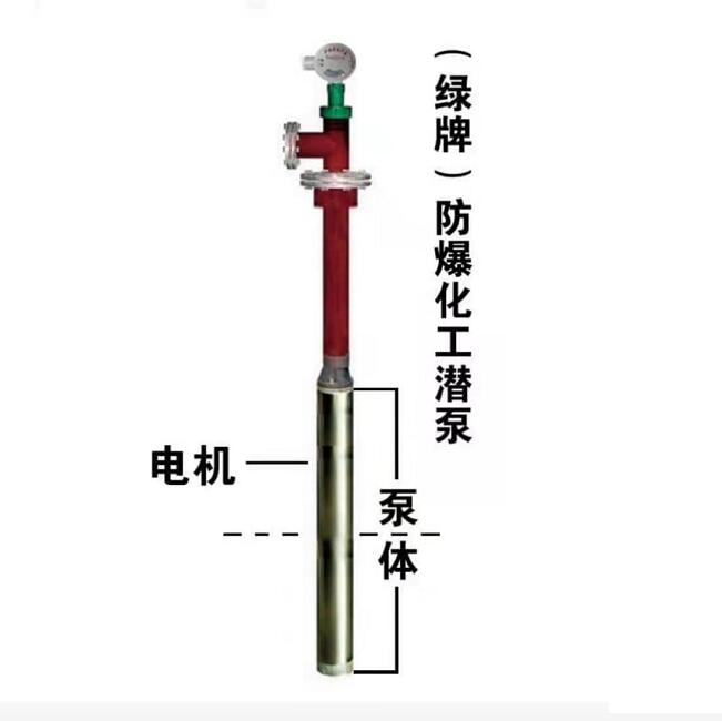 绿牌YQYB0区防爆化工潜液泵YQYB-300-30-2.2