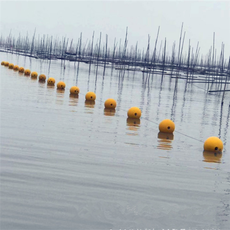 聚乙烯材质水面警示浮球 围栏浮球图片