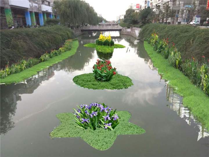 北京水生植物浮岛哪里有-电话