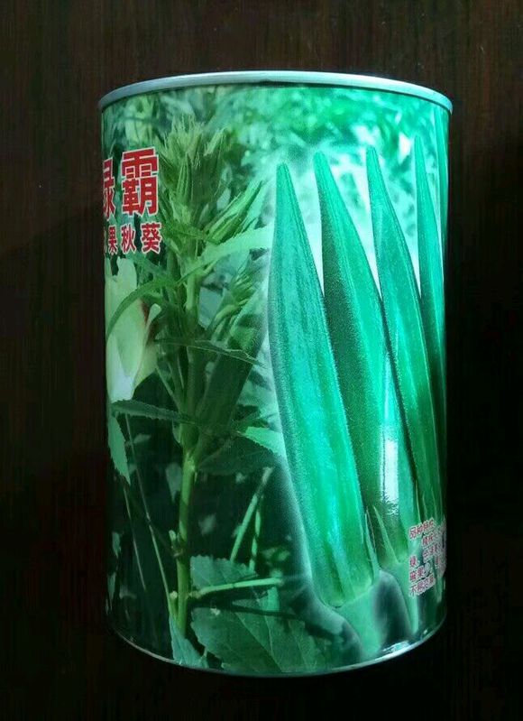 日本绿灞水果秋葵种子
