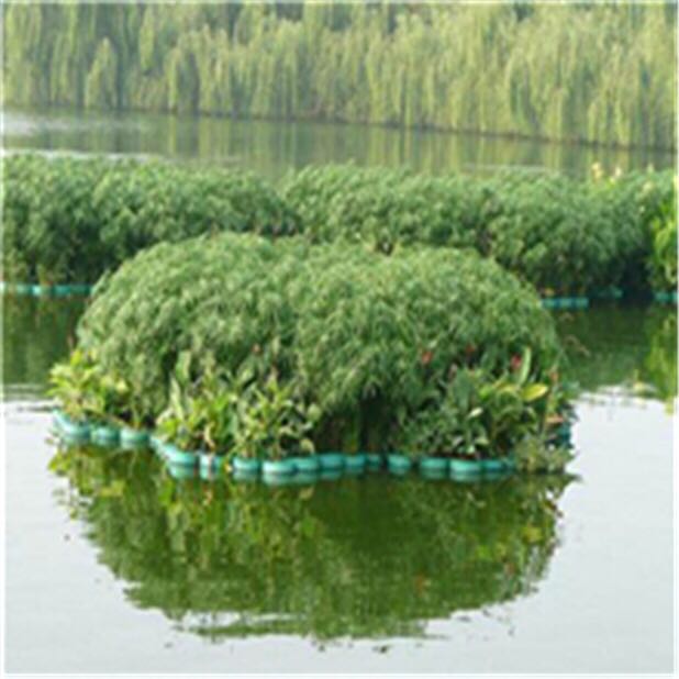 水生植物浮岛制作 北京水生生态浮岛搭建制作