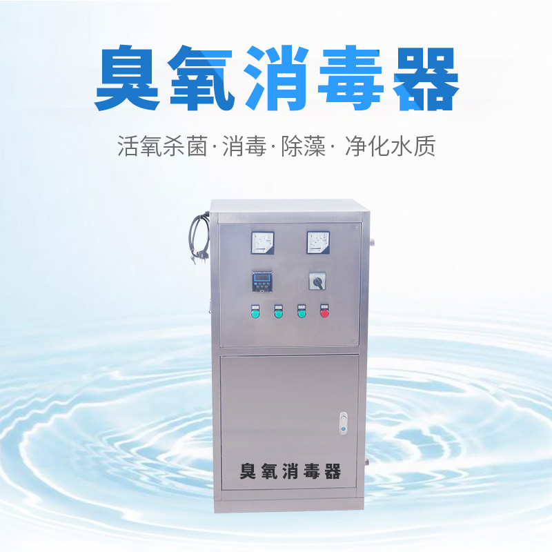外置式水箱自洁臭氧消毒器外置式水箱循环杀菌设备图片