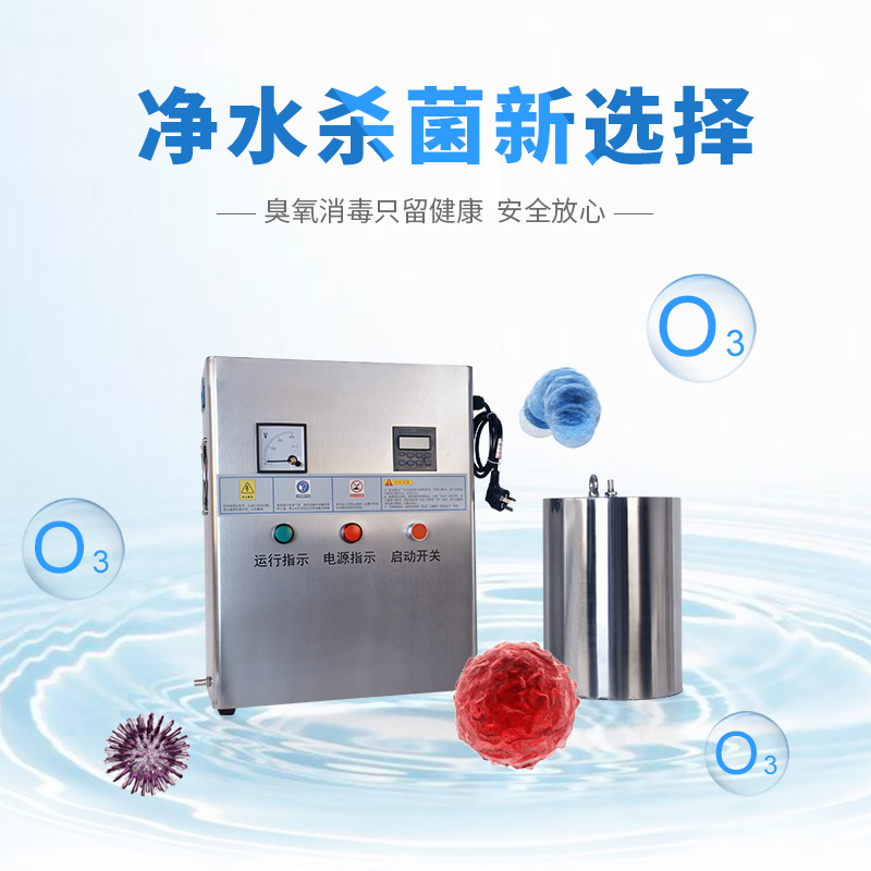 内置水箱自洁臭氧消毒器 WTS系列 厂家定制 贵州供应水箱自洁臭氧消毒器